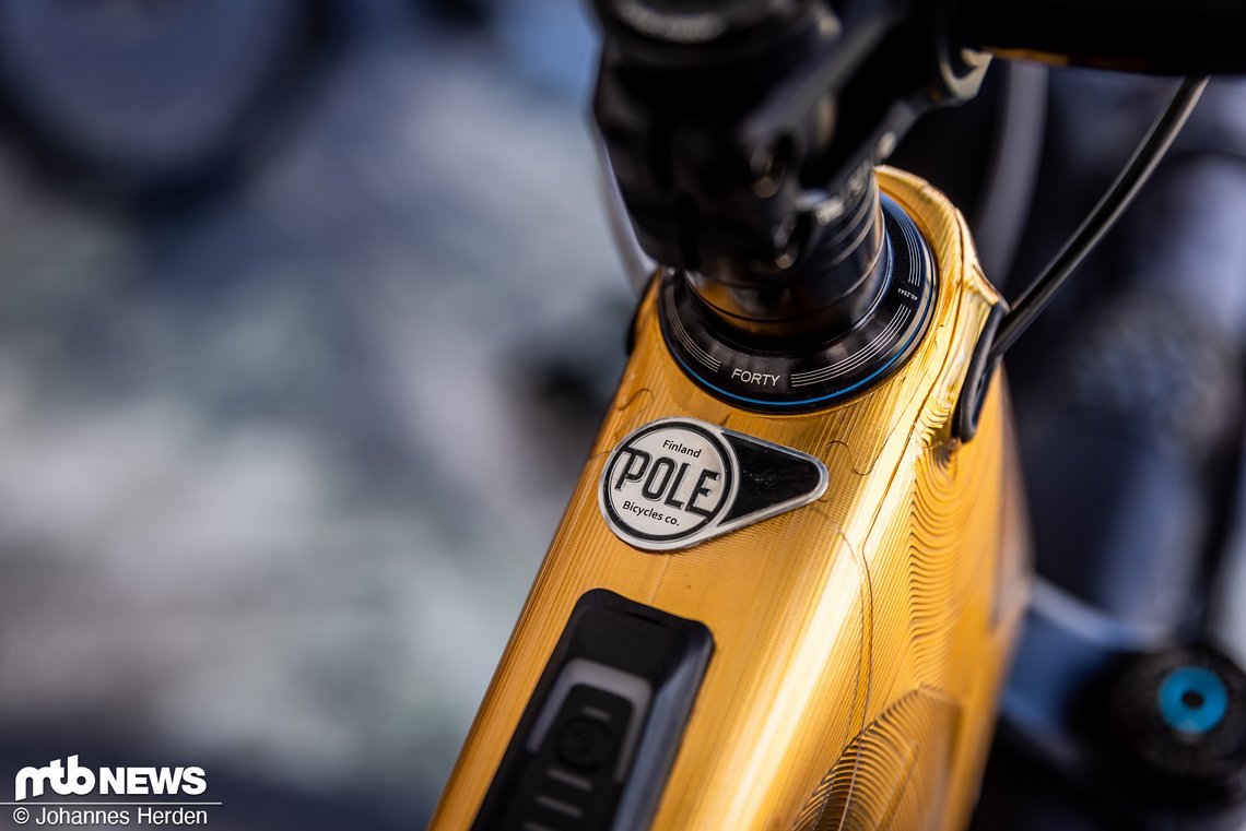 Sea Otter - Pole-58