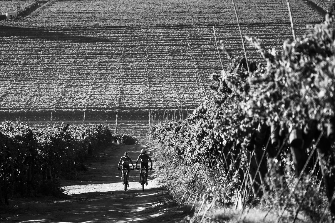 Riders during Stage 3 of the 2025 Absa Cape Epic Mountain Bike stage race held at Fairview, Paarl, Cape Town, South Africa on the 19th March 2025. Photo by Sam Clark/Cape Epic
PLEASE ENSURE THE APPROPRIATE CREDIT IS GIVEN TO THE PHOTOGRAPHER AND ABSA