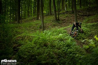 Auf Flowtrails kann man den mittleren Modus nutzen Auf Flowtrails kann man den mittleren Modus nutzen
