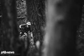 Enge Trails im Wald erfordern aufgrund eingeschränkter Sich viel Konzentration Enge Trails im Wald erfordern aufgrund eingeschränkter Sich viel Konzentration