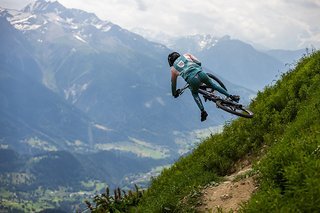 Tricksen vor Alpenhintergrund Tricksen vor Alpenhintergrund