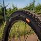 Specialized-6160012
