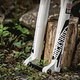 Die Rock Shox Boxxer ist eine der populärsten Downhill-Federgabeln