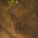 Rebecca VAN HUYSSTEEN during Stage 3 of the 2025 Absa Cape Epic Mountain Bike stage race held at Fairview, Paarl, Cape Town, South Africa on the 19th March 2025. Photo by Michael Chiaretta/Cape Epic
PLEASE ENSURE THE APPROPRIATE CREDIT IS GIVEN TO TH