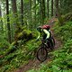 Trek Remedy 2017-29