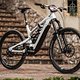 YT-Decoy-Manuel-Lettenbichler-2943
