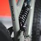 Capra Uncaged 10 AL 06