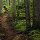 Und auch das ist Whistler. Nur wenige Minuten außerhalb des berühmten Bikeparks gibt es Trails, die einem die Freudentränen in die Augen treiben: Perfekter Boden, perfekte Wurzeln, perfekte Kurven, perfektes Moos.
