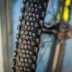 Bernard Kerr hat hinten aktuell übrigens einen Maxxis Minion Semi Slick aufgezogen …