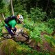 DSC 8754 20180525