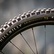 Specialized Hillbilly-Reifen sind bei den feucht-fröhlichen Bedingungen in Leogang sicherlich eine gute Wahl