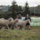 Brook McDonald and Loic Bruni Sheep Muster, Rotorua New Zealand, on March 19, 2019