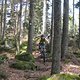 IMG 0036