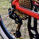 Dazu kommt eine SRAM XX1 Eagle zum Einsatz