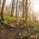 Der Trail um die Ecke