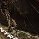 MTBNews
