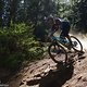 Max lässt es auf Stage 5 ...