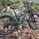 CANYON Spectral CF Custom