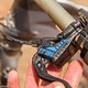 magura-9446