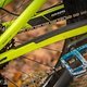 Foto Jens Staudt Trek Fuel EX-6198