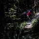 Biketrails fallen nicht vom Himmel und benötigen neben dem Bau und der Pflege oftmals auch eine langfristige Lobbyarbeit