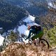 Wint...äh...Frühling im Schwarzwald