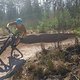 IBC-User arthur80 unterwegs auf seinem Santa Cruz Tallboy